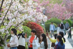 九游会欧洲杯新华社发（周社根摄）4月8日-九游下载中心_九游游戏中心官网