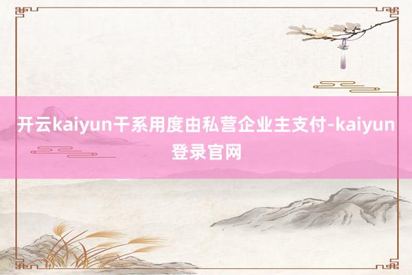 开云kaiyun干系用度由私营企业主支付-kaiyun登录官网