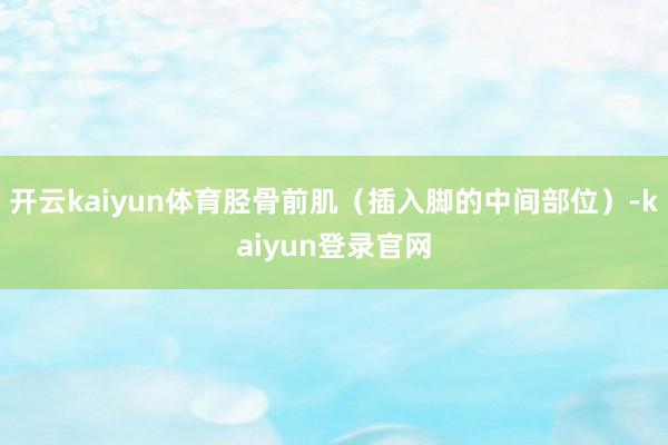 开云kaiyun体育胫骨前肌(插入脚的中间部位)-kaiyun登录官网