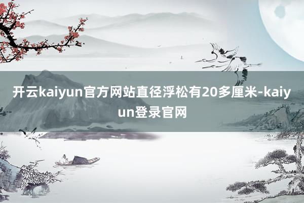 开云kaiyun官方网站直径浮松有20多厘米-kaiyun登录官网
